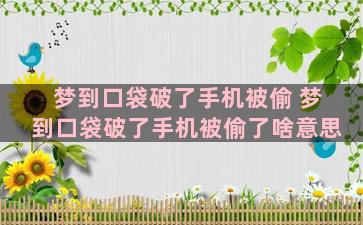 梦到口袋破了手机被偷 梦到口袋破了手机被偷了啥意思